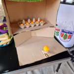 Markt der Möglichkeiten 2025__003