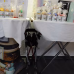 Mitgliederversammlung 2023_020